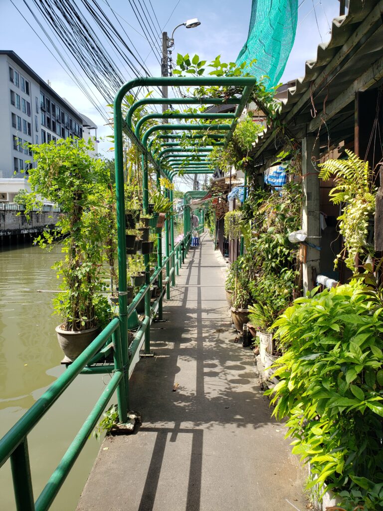 Lushing green greets villagers and visitors along this section of Khlong Saen Saep.